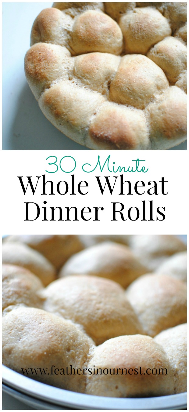 30 Minute Whole Wheat Dinner Rolls