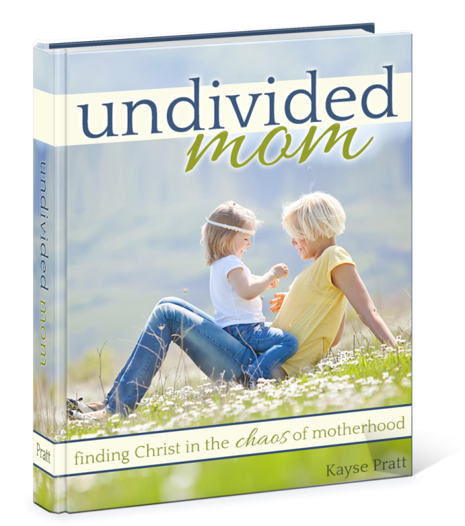 Undivided_Mom3D-906x1024