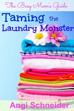 taming-the-laundry-monster