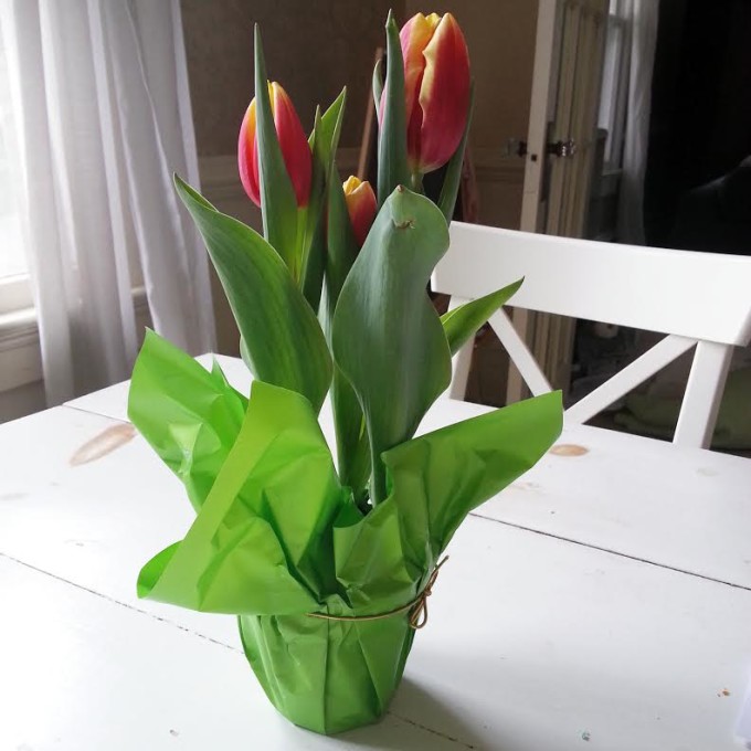 IGTulips