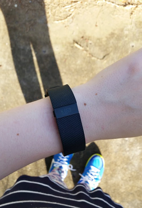 Fitbit Sisters: How we challenge and motivate one another