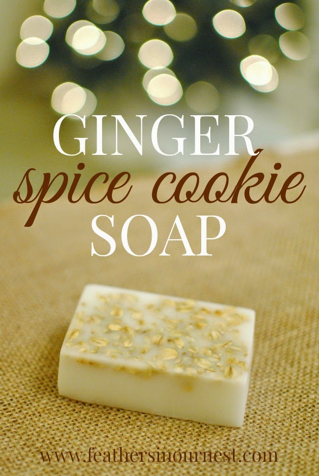 DIY Ginger Spice Cookie Soap | Feathers in Our Nest