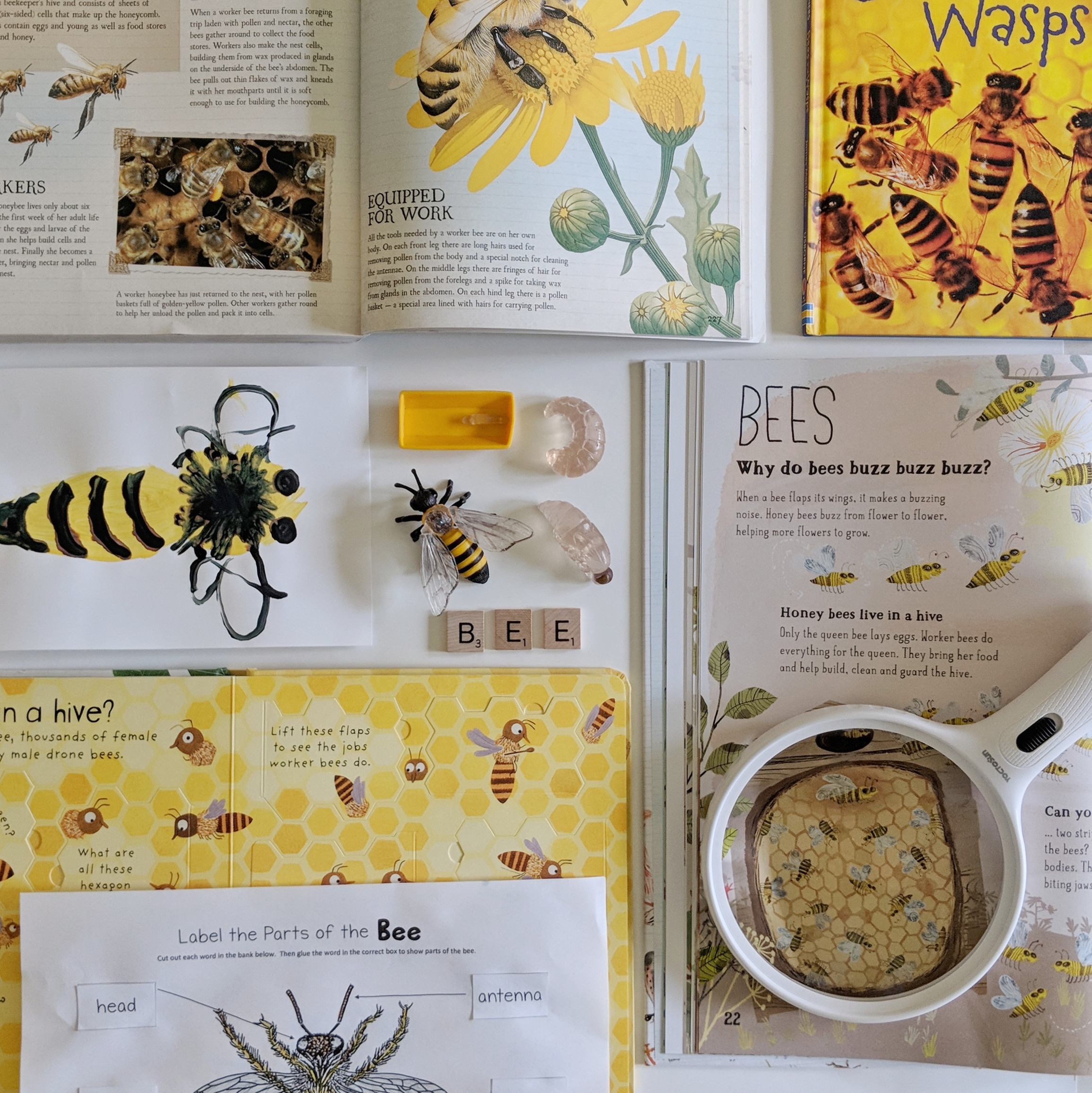 Why Do We Need Bees? Bee Themed Playdate | Homeschool Bee Unit